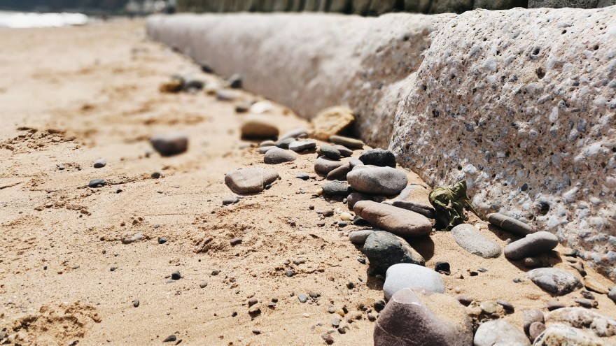 Processed with VSCO with a6 preset