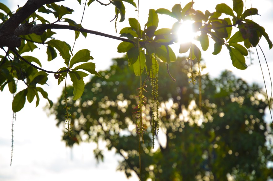 9D28334F-5869-4AB7-8EF2-EB53AE373F21