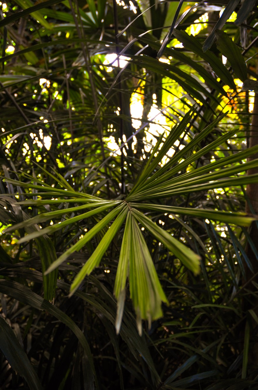 5963E126-3303-4B34-9CED-B5F8310F77DE