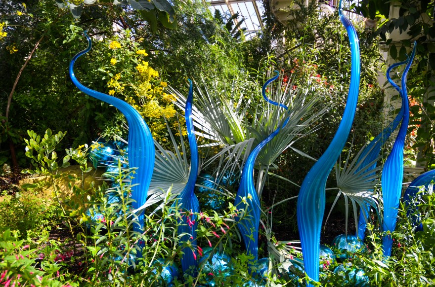 988E545E-DBAA-4D01-8815-1F461136E751