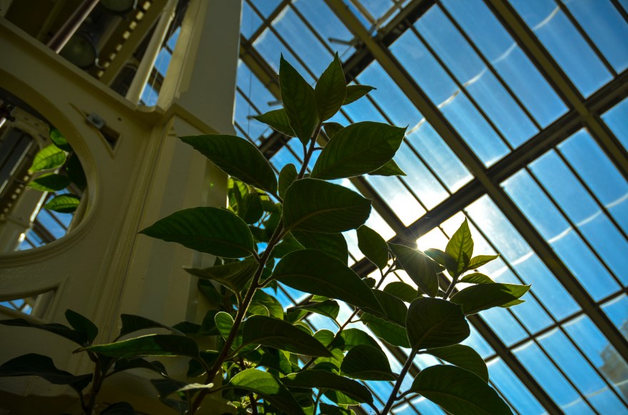 9C1FDFFA-DAB7-454C-9C64-831F1B701ACF