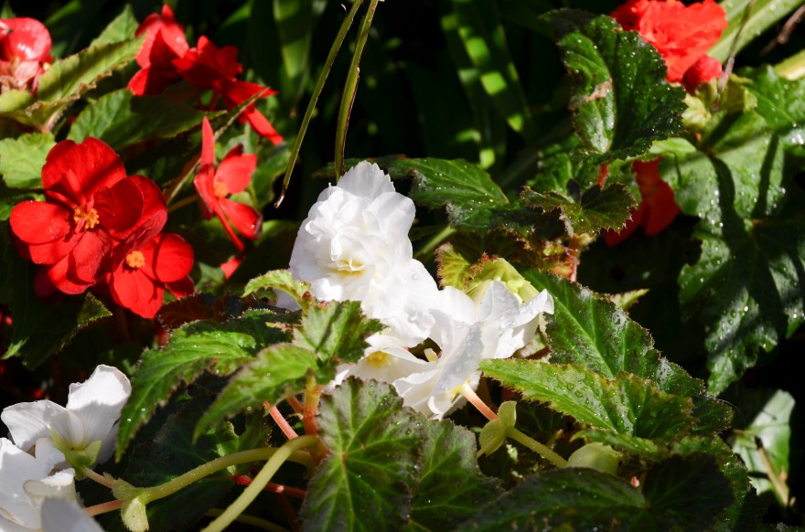 BAB27A44-81C4-46A0-8125-D2C70A24BFE9