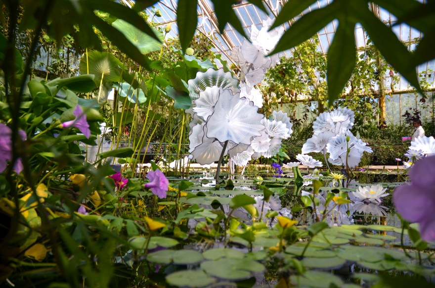 D9CF196C-9363-4A28-B330-9B7E923B96D6