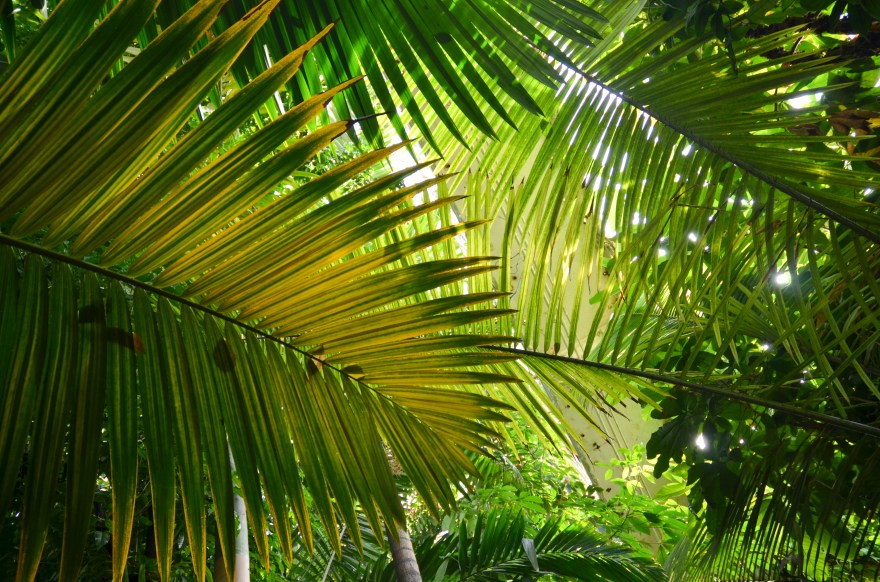 E5B7AA94-0794-42F1-A62B-44523E8511E2