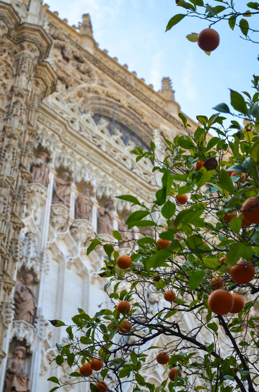 335F445D-A811-4954-8771-0E150EBBB676