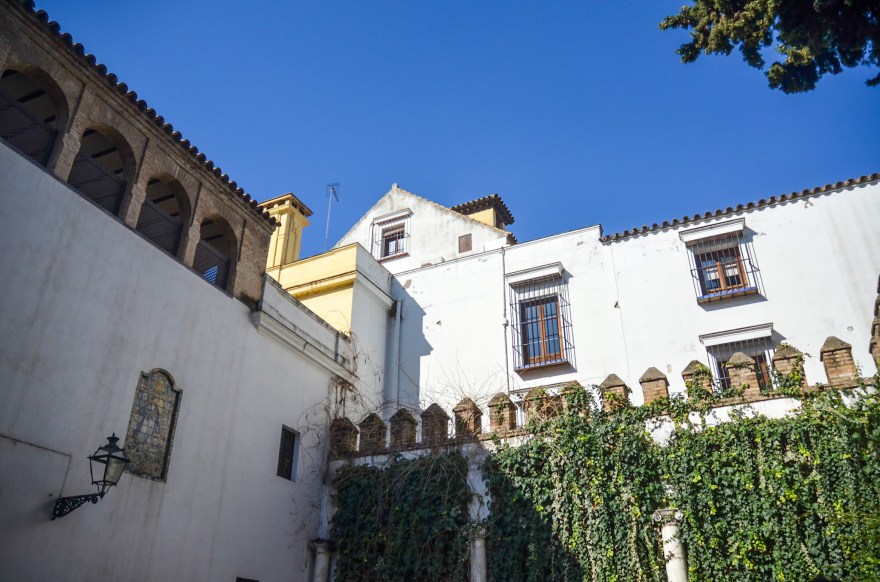 C27A2306-E97D-4E6B-A2CD-B82BD3552A6E