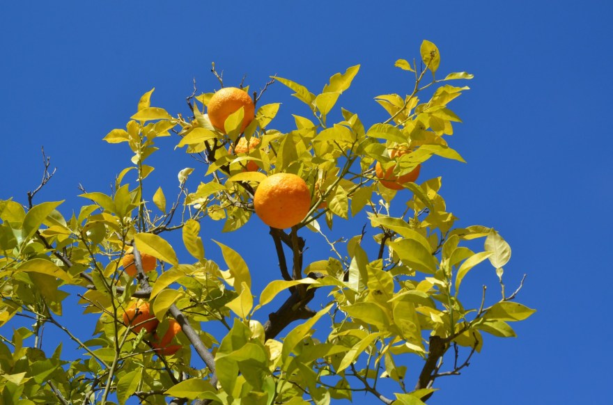 C859A21E-335B-4EAD-B923-8137E414C8AF