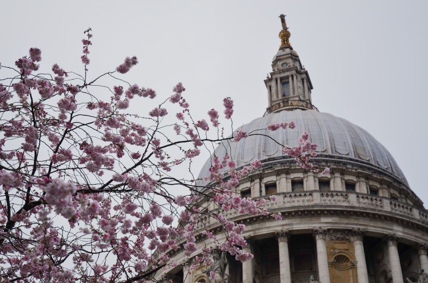 9AF570A0-6F1E-4827-9063-3F5C9829D70F