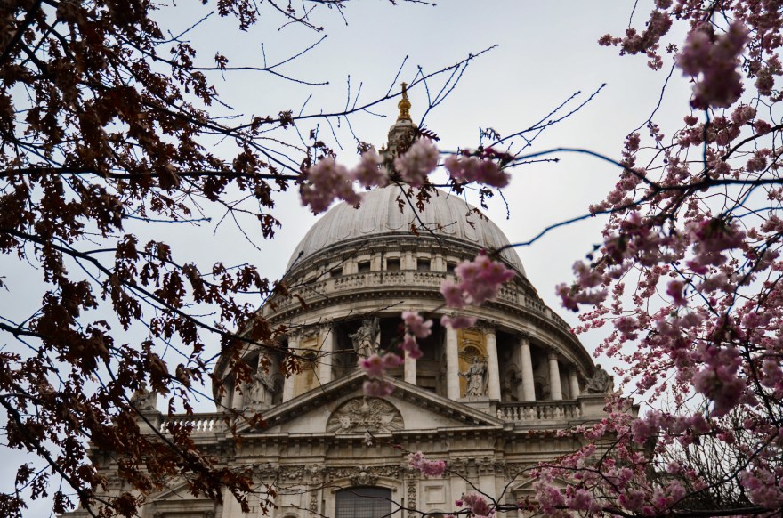 B7589BC3-D31D-40A8-B075-AE896DA0A4CE