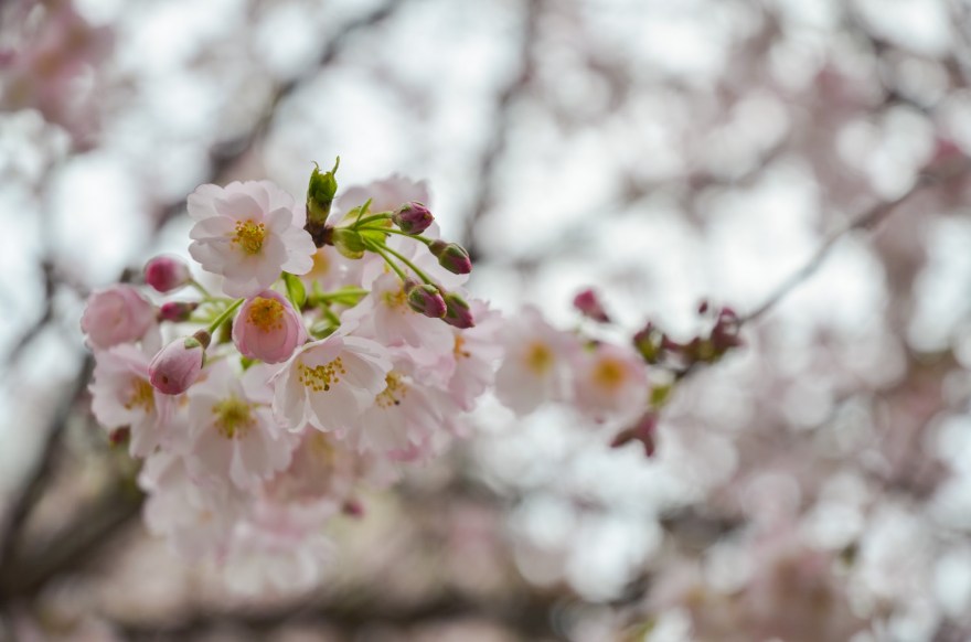 CFCED862-5000-4005-BF78-3D82D3CA4FD7